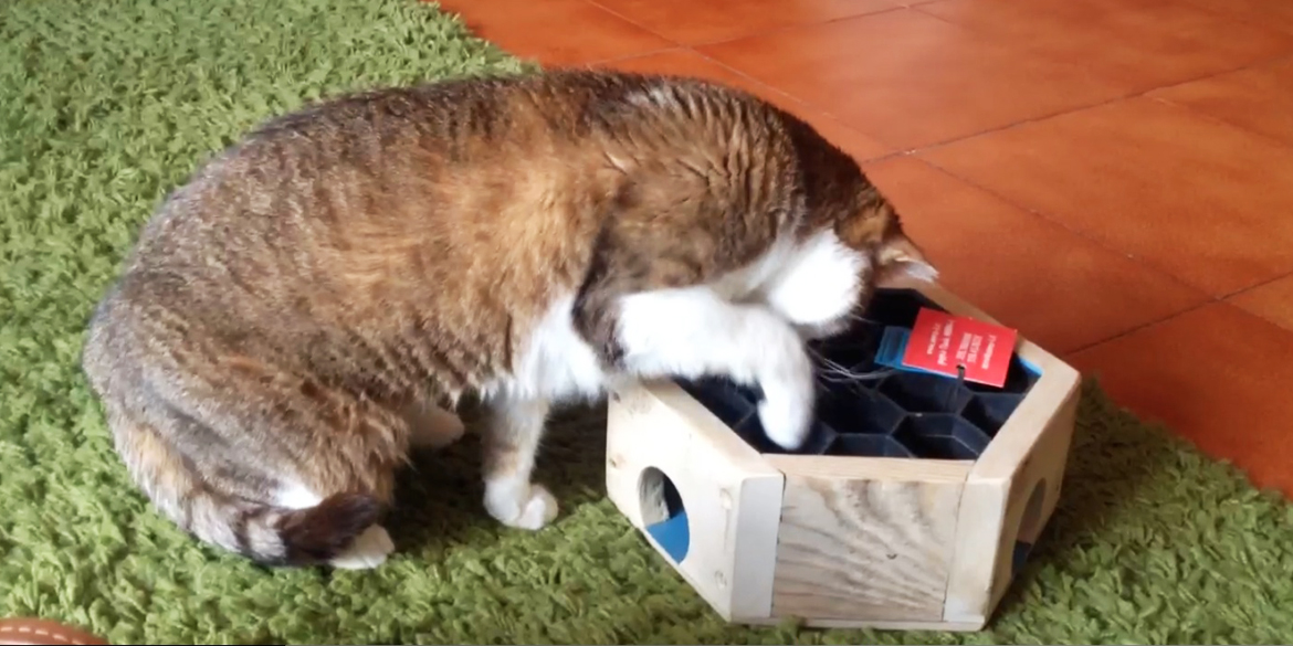 gioco gatti handmade recycle
