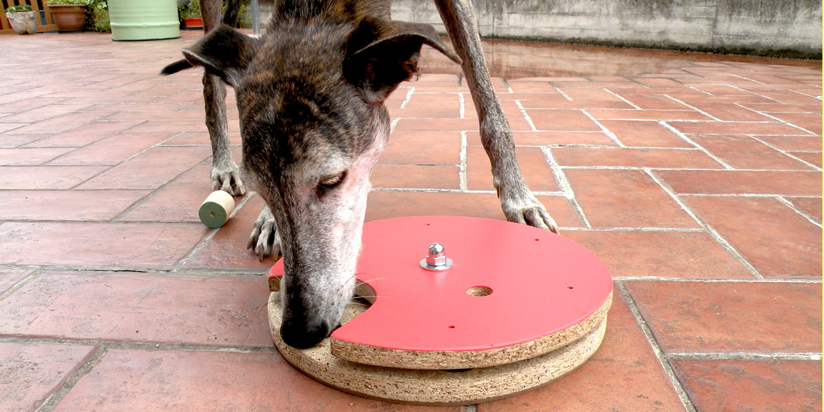 gioco attivazione mentale cane handmade recycle