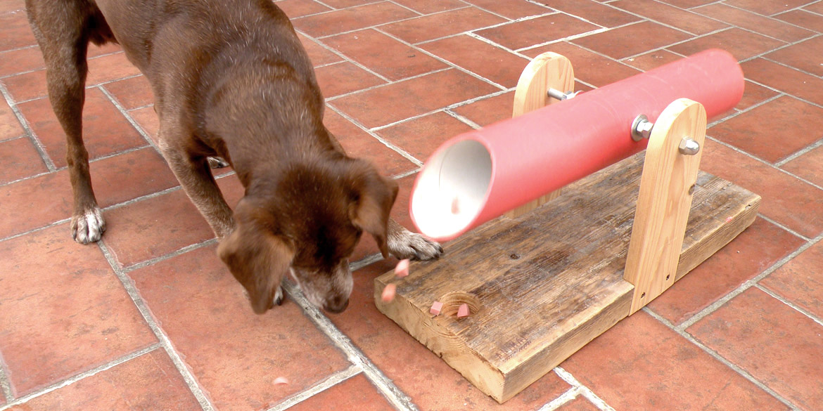 gioco attivazione mentale cane handmade recycle